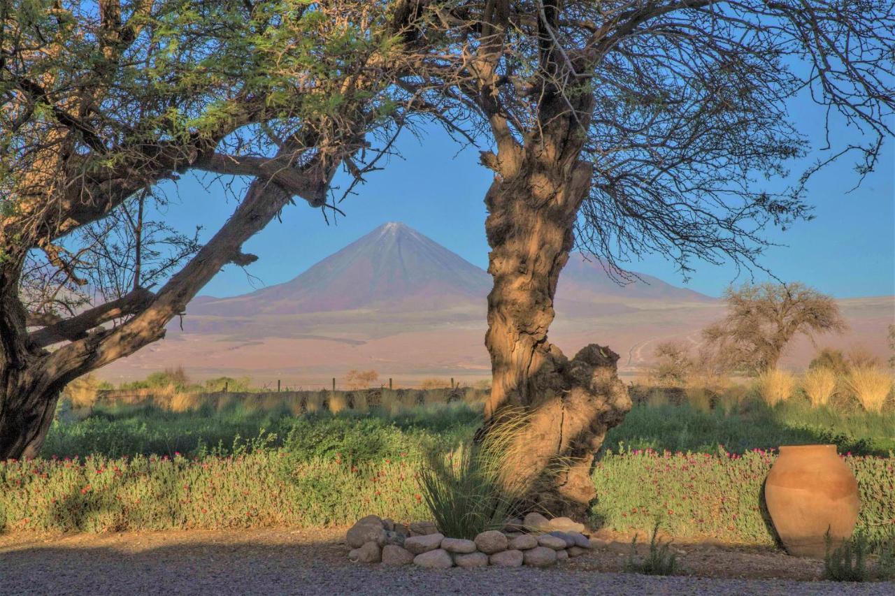 Casita La Brea Villa San Pedro de Atacama Ngoại thất bức ảnh